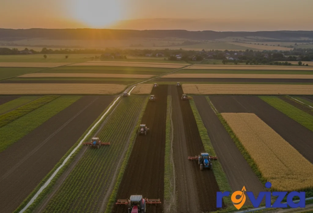 زمین زراعی در رومانی